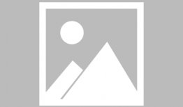 中决一套直播在线观看,精彩对决，激情在线